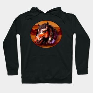 Appaloosa horse Hoodie